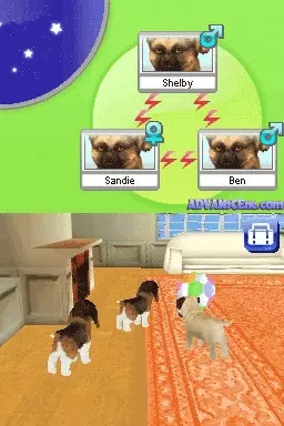 Image n° 3 - screenshots : Petz - My Puppy Family